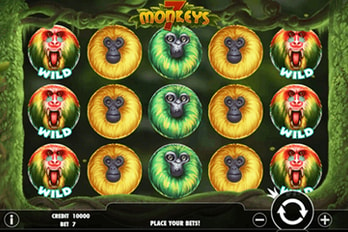 7 Monkeys Slot Game Screenshot Image