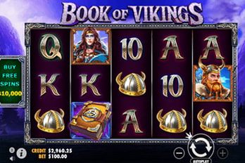 Book of Vikings Slot Game Screenshot Image
