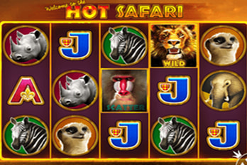 Hot Safari Slot Game Screenshot Image