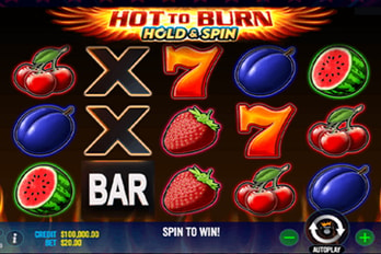 Hot to Burn Hold & Spin Slot Game Screenshot Image