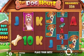The Dog House Megaways Slot Game Screenshot Image
