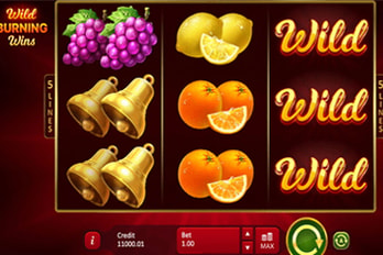 Wild Burning Wins: 5 lines Slot Game Screenshot Image