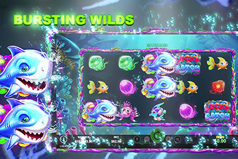 Lucky Catch Slot Game Screenshot Image