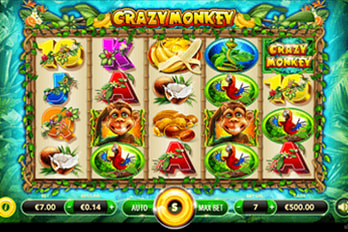 Crazy Monkey Slot Game Screenshot Image