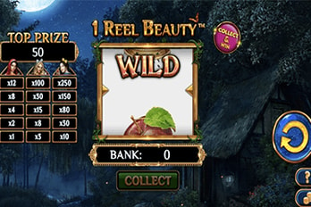 1 Reel Beauty Slot Game Screenshot Image