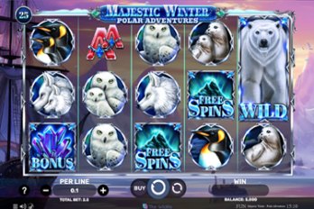 Majestic Winter: Polar Adventures Slot Game Screenshot Image