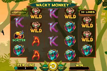 Wacky Monkey Slot Game Screenshot Image