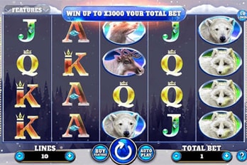 Wild Penguin Slot Game Screenshot Image