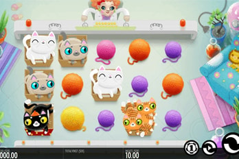Not Enough Kittens Slot Game Screenshot Image