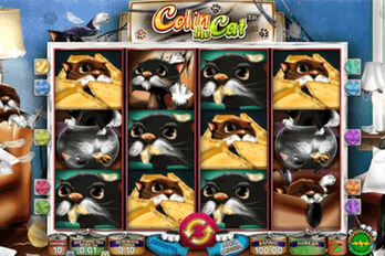 Colin The Cat Slot Game Screenshot Image