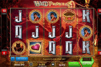 Wild Princess Slot Game Screenshot Image