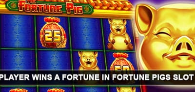 fortune-pig-slot-big-win-emucasino